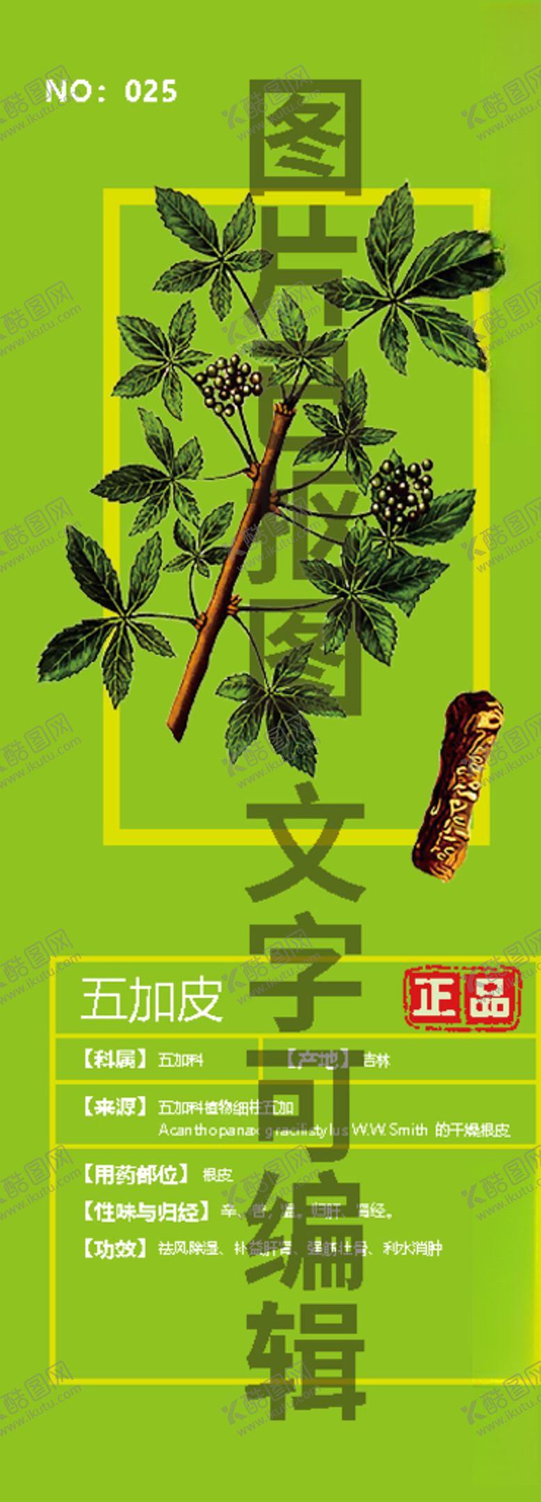 编号：23157804121906551955【酷图网】源文件下载-五加皮