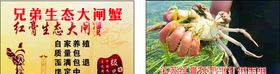 兄弟生态大闸蟹