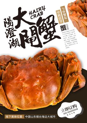 阳澄湖大闸蟹闸蟹大闸蟹海报