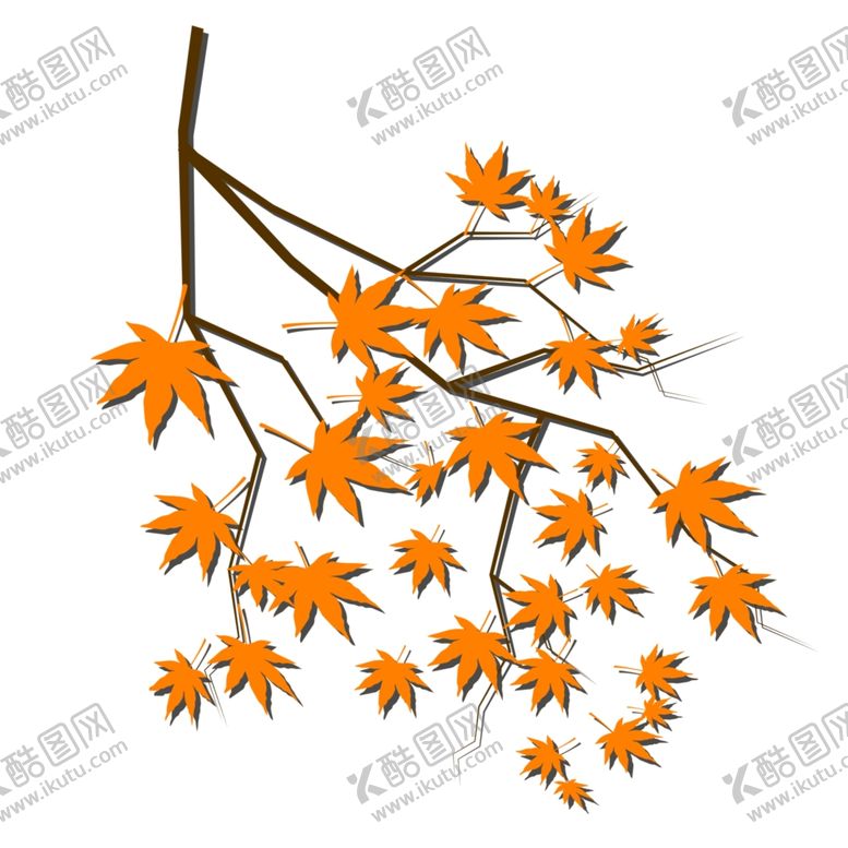 编号：40979106190756295001【酷图网】源文件下载-枫叶