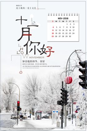 十二月你好四节气雪花文艺海报冬至