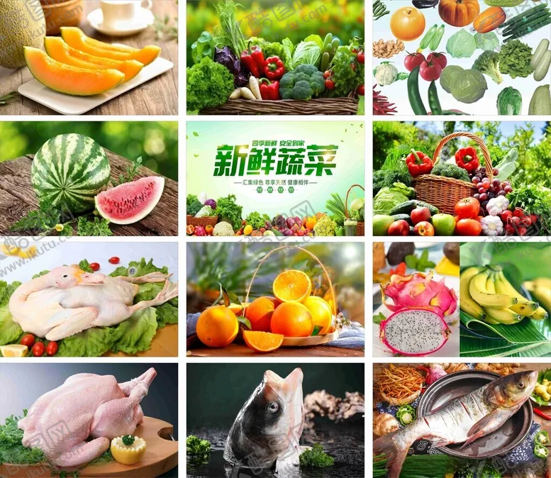 编号：15539104272351331928【酷图网】源文件下载-蔬菜水果