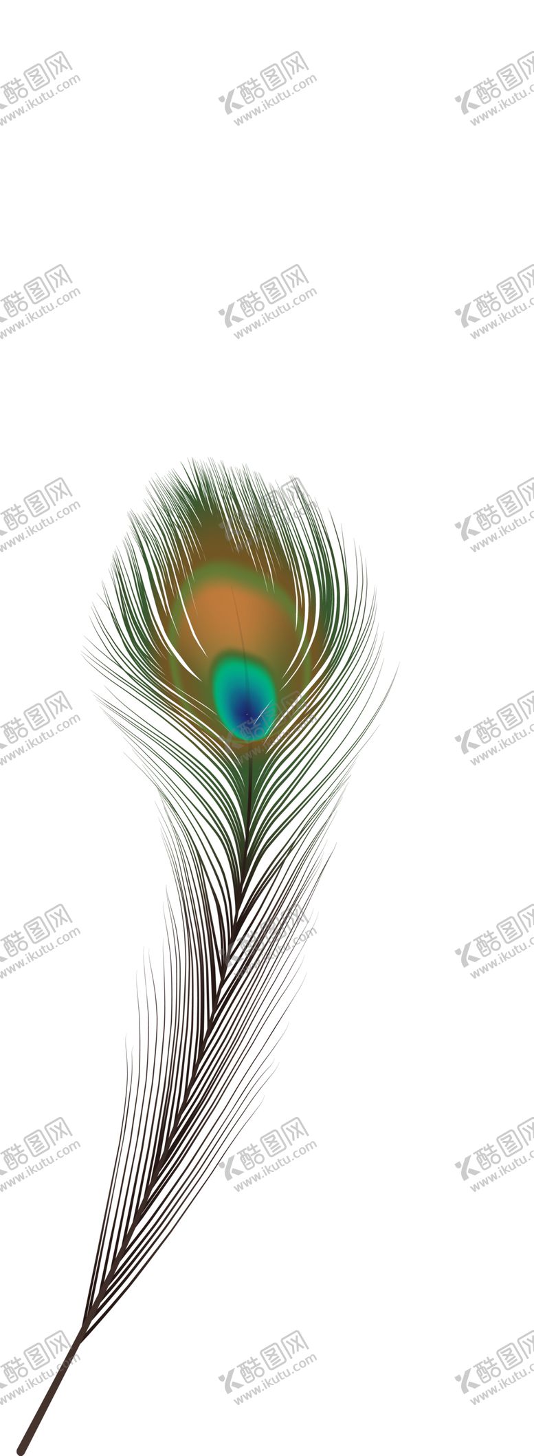 编号：88963302171027357944【酷图网】源文件下载-羽毛 素材