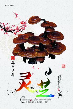 灵芝海报