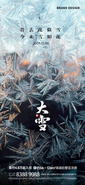 大雪节气海报