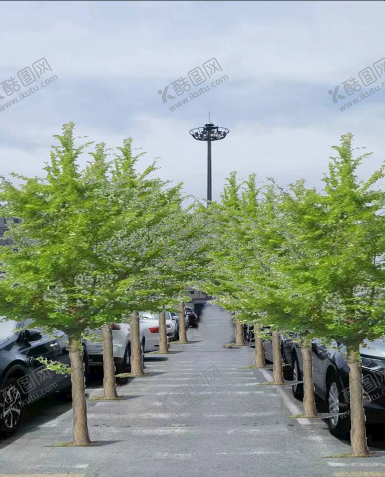 编号：03172609161431511465【酷图网】源文件下载-植树