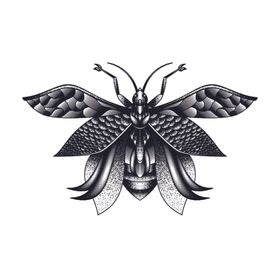 线描昆虫