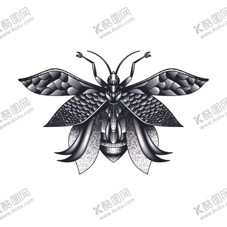 编号：96560609211924469416【酷图网】源文件下载-线描昆虫