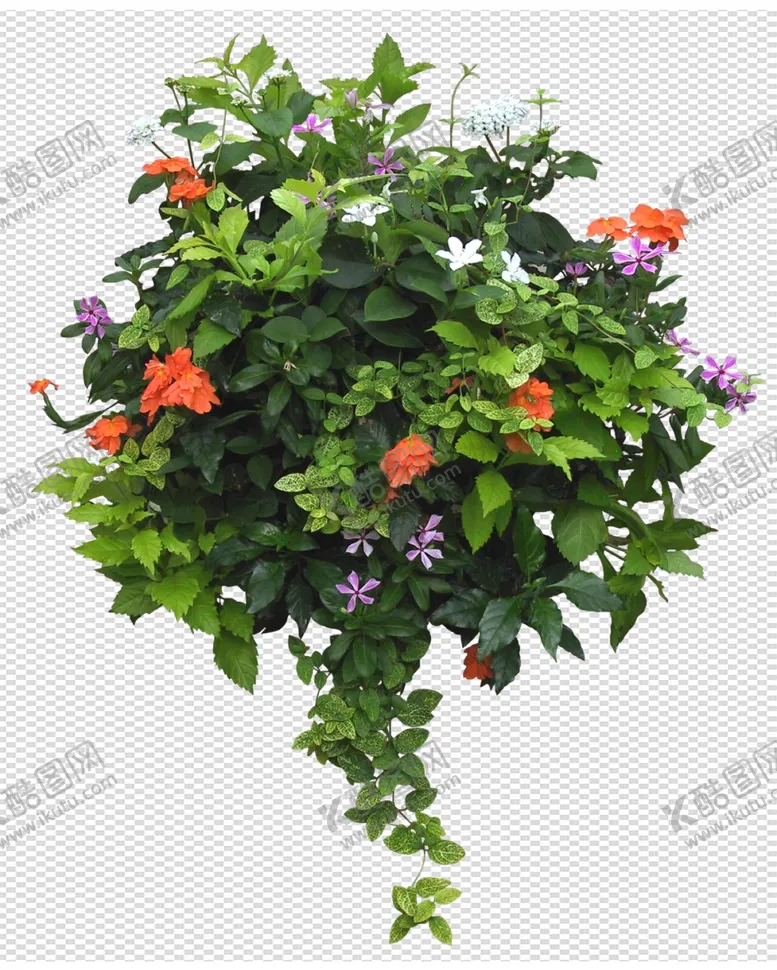 编号：74545404191451553792【酷图网】源文件下载-透明底植物