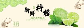 创意新鲜水果 矢量素材 柠檬 