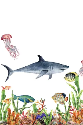 海洋主题插画图案