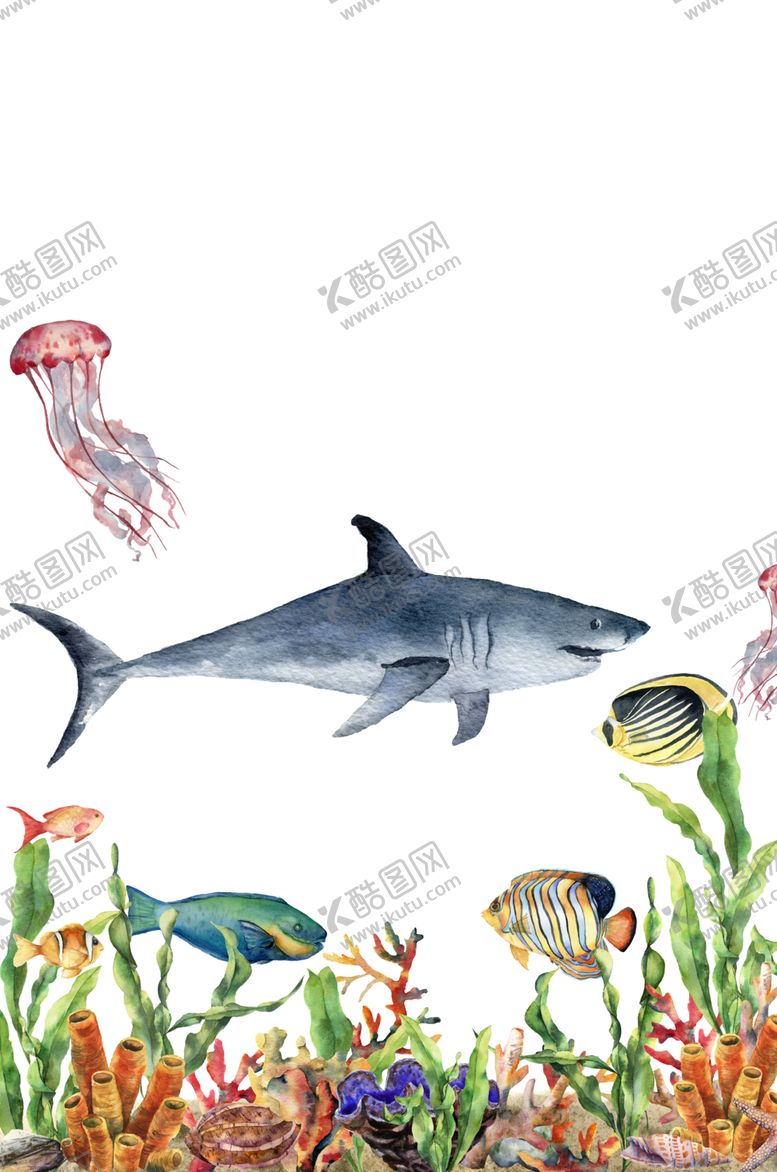 编号：30865410110119285294【酷图网】源文件下载-海洋主题插画图案