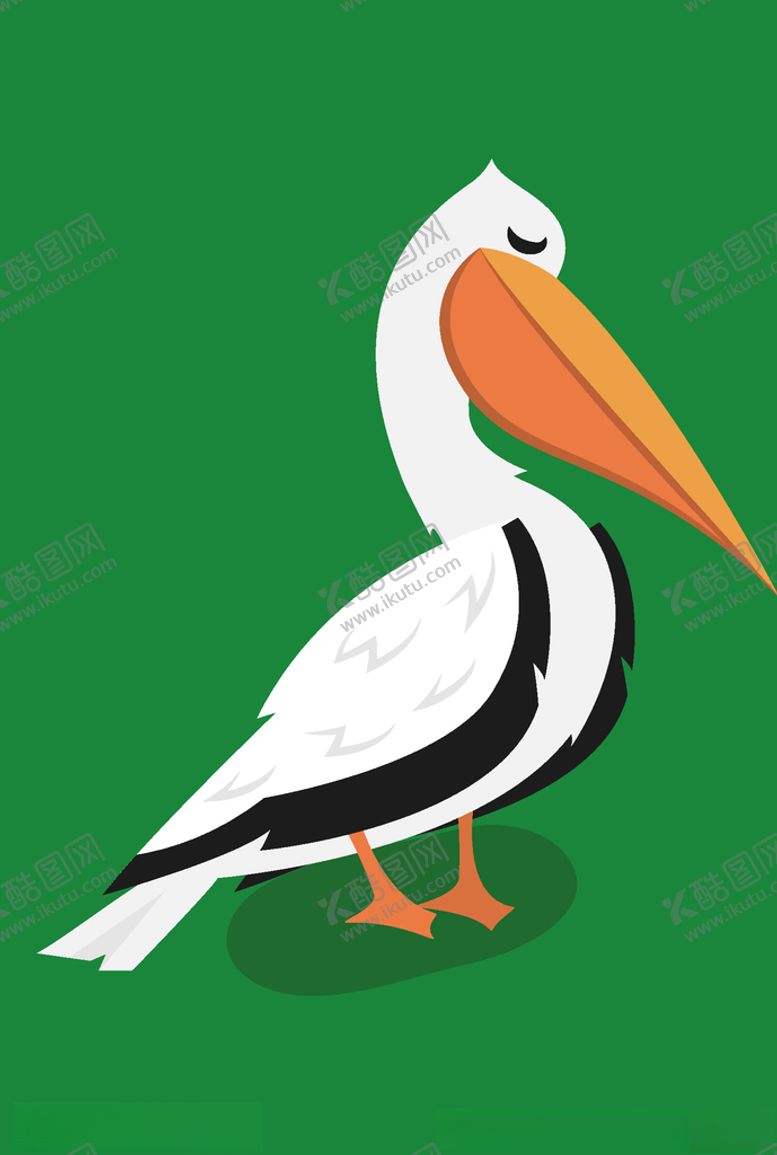 编号：58094310020033184188【酷图网】源文件下载-鹈鹕