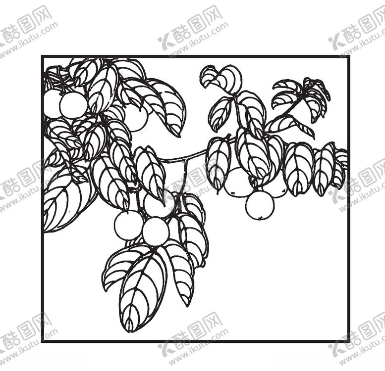 编号：56526009131934293512【酷图网】源文件下载-核桃