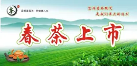 茶叶海报龙井名片博会
