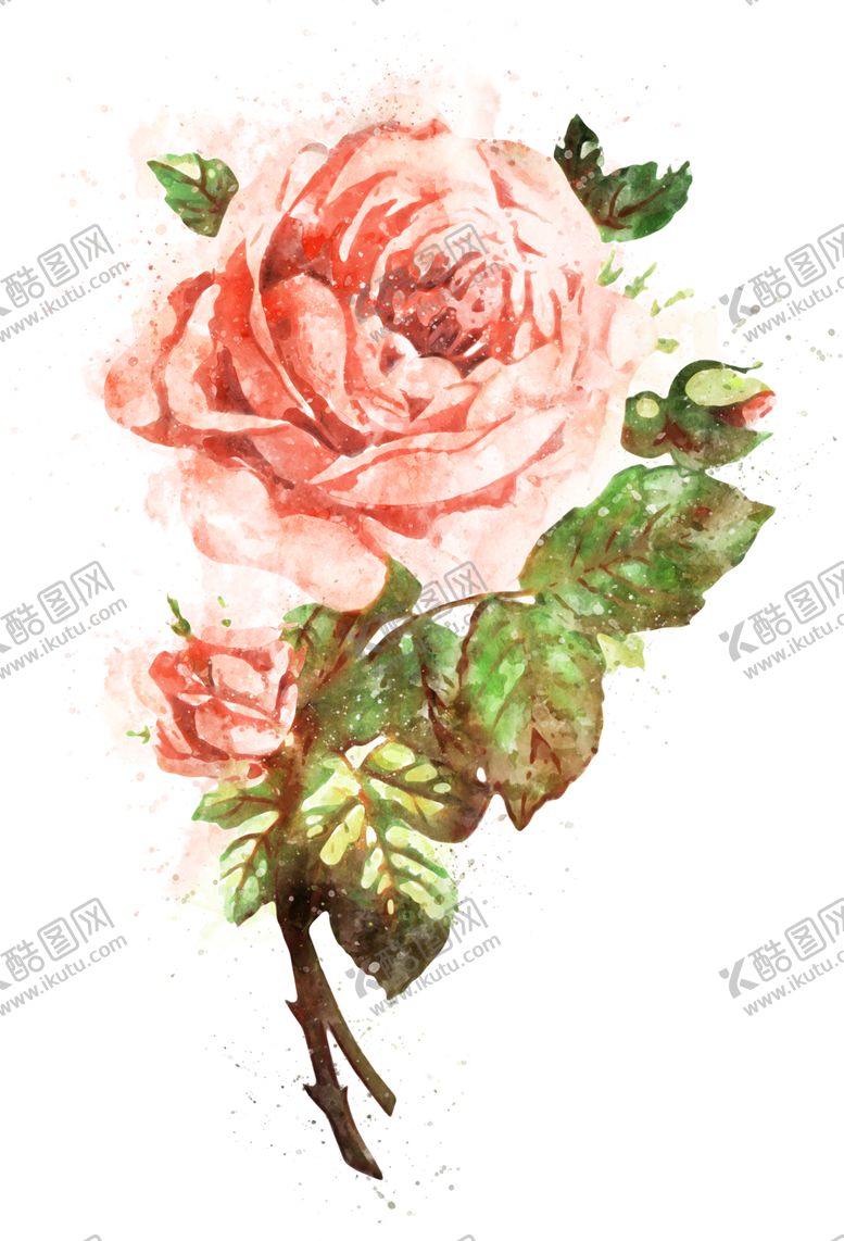编号：95685707041529222090【酷图网】源文件下载-手绘花卉