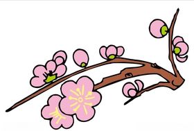 梅花上贰