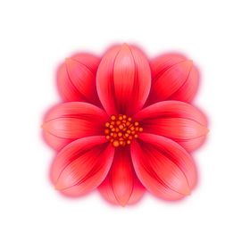 鲜花装饰