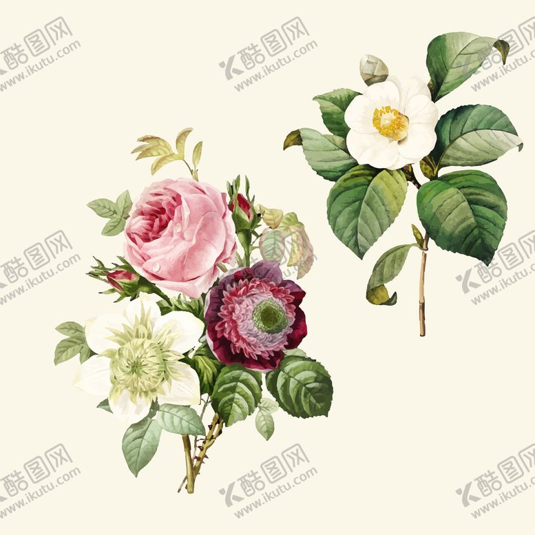 编号：08937609201327245621【酷图网】源文件下载-手绘玫瑰花矢量素材