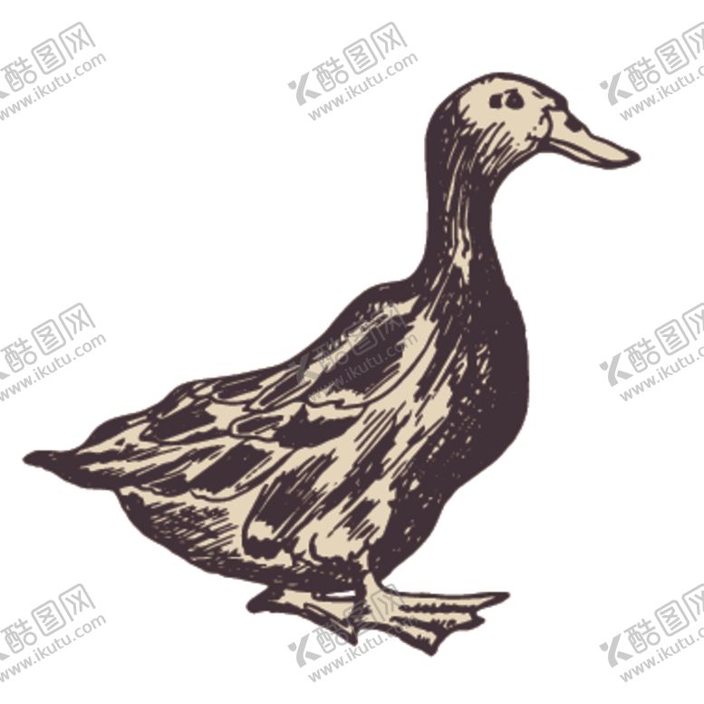 编号：95838709221842017527【酷图网】源文件下载-家养动物主题插画