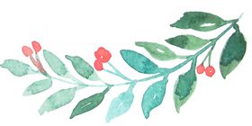 彩绘枝叶植物鲜花森系花