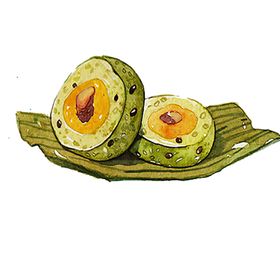 饭团