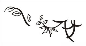 矢量梳子图案