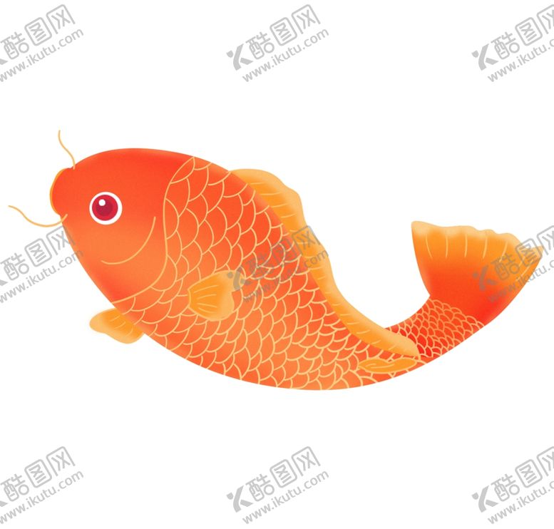编号：87351604191657079871【酷图网】源文件下载-鲤鱼插画
