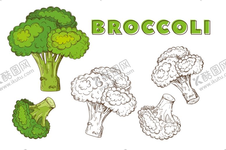 编号：71389109251228472239【酷图网】源文件下载-矢量蔬菜