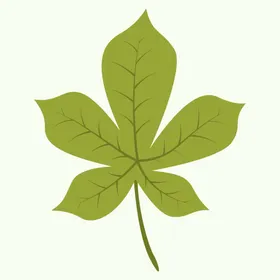 植物卡通花叶子手绘