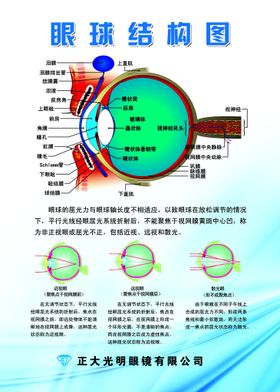 紫色眼球