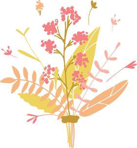 花草插画