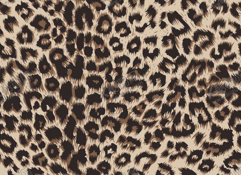 编号：73998109191012382621【酷图网】源文件下载-咖啡豹纹