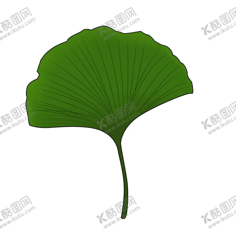 编号：33359304190357274496【酷图网】源文件下载-秋天银杏叶