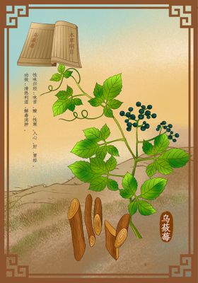 桃气莓莓米酿