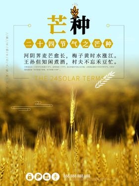 芒种海报