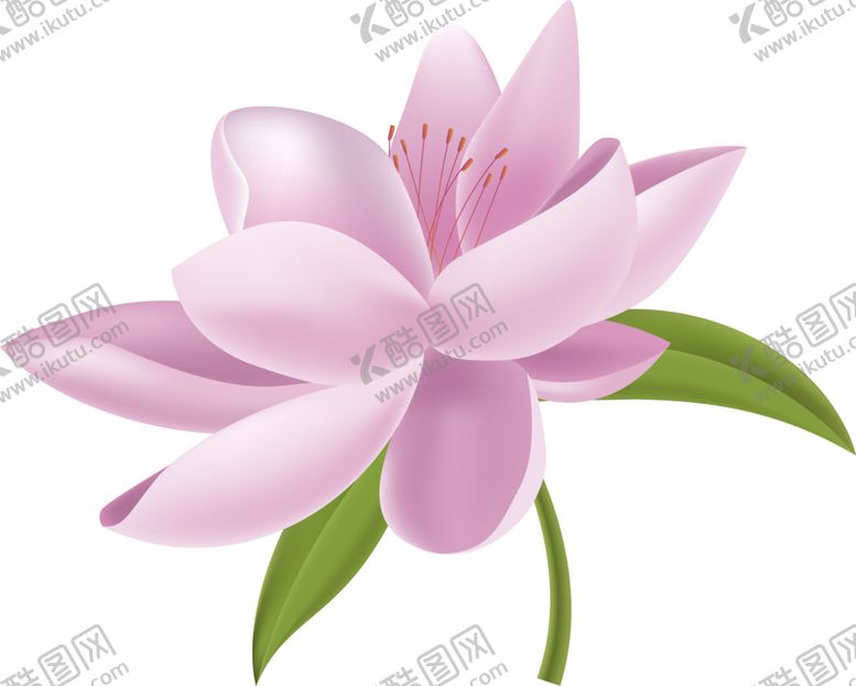 编号：80416101271710247307【酷图网】源文件下载-卡通手绘花卉