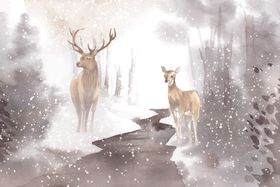 野生动物插图