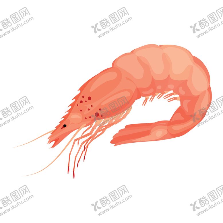 编号：25614710042340410378【酷图网】源文件下载-卡通虾