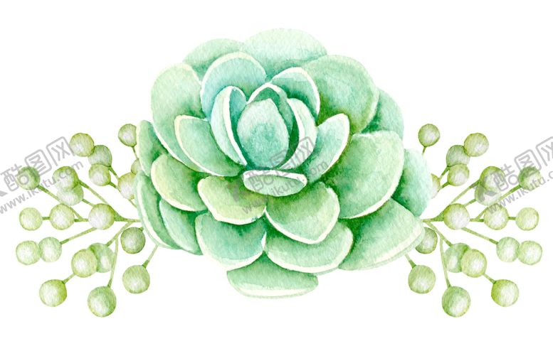 编号：54972810181918367641【酷图网】源文件下载-水彩植物