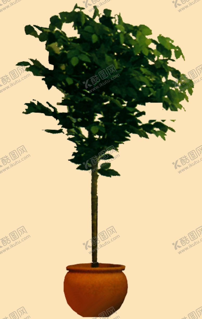 编号：53444407041335146827【酷图网】源文件下载-盆景