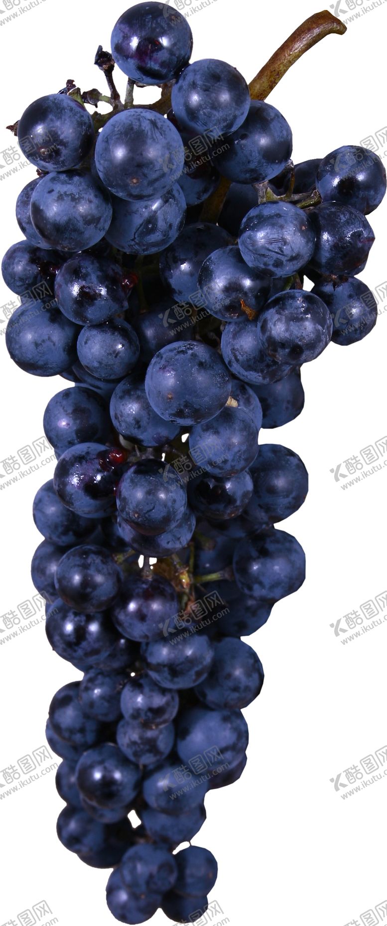 编号：92707409202110548681【酷图网】源文件下载-葡萄