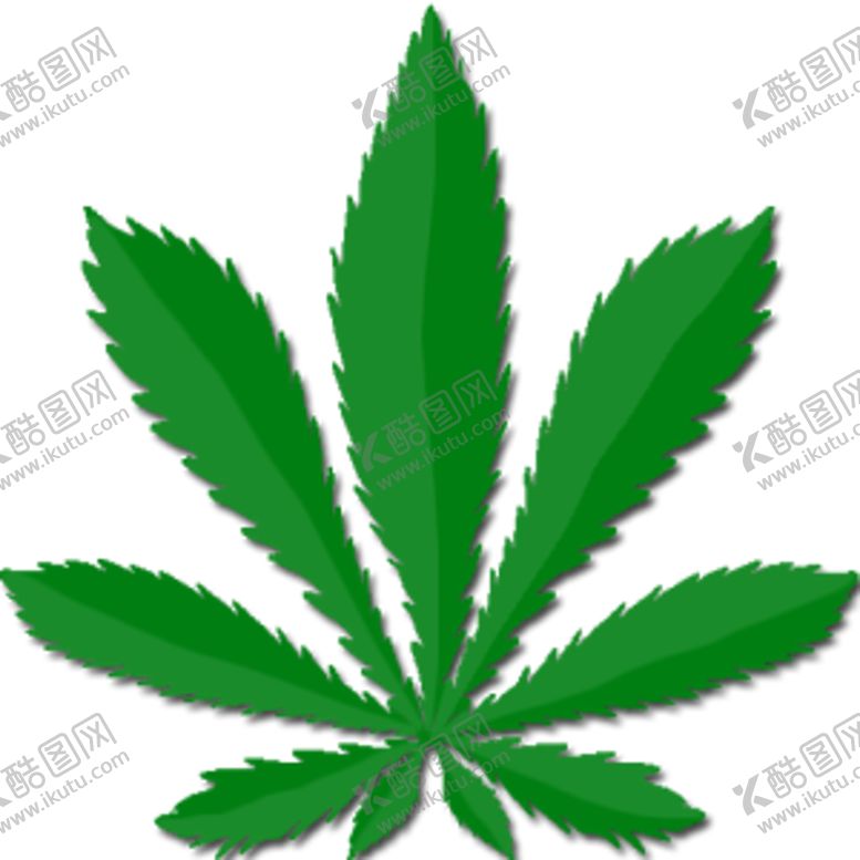 编号：26324306252358075282【酷图网】源文件下载-小清新植物