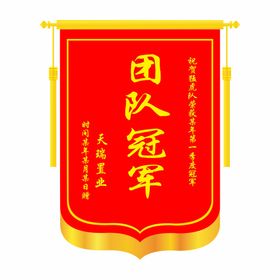 团队冠军锦旗