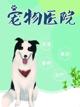 宠物海报寄养狗粮生活馆
