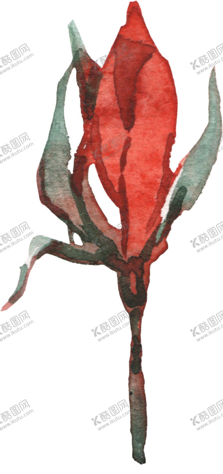 编号：44709702060019467668【酷图网】源文件下载-手绘植物花草