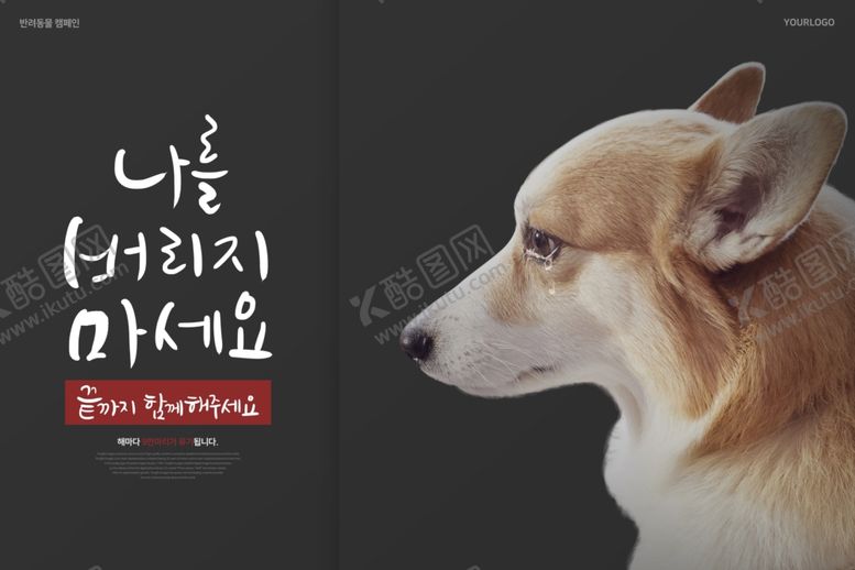 编号：14478606271556552136【酷图网】源文件下载-小狗海报