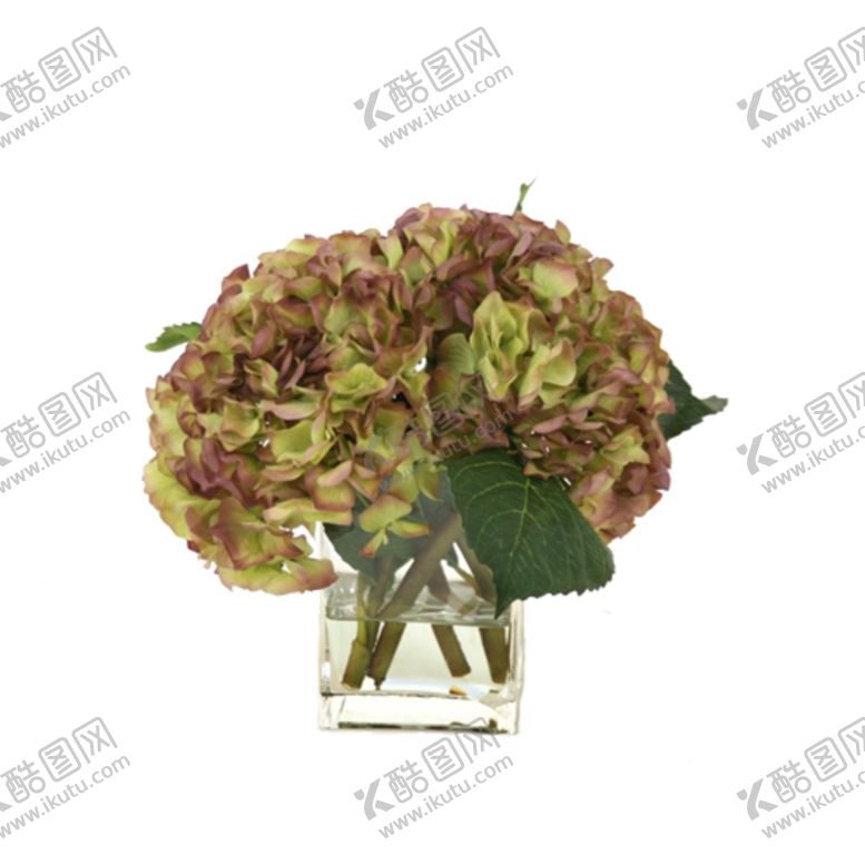 编号：24805109220013231547【酷图网】源文件下载-免抠背景花草树木