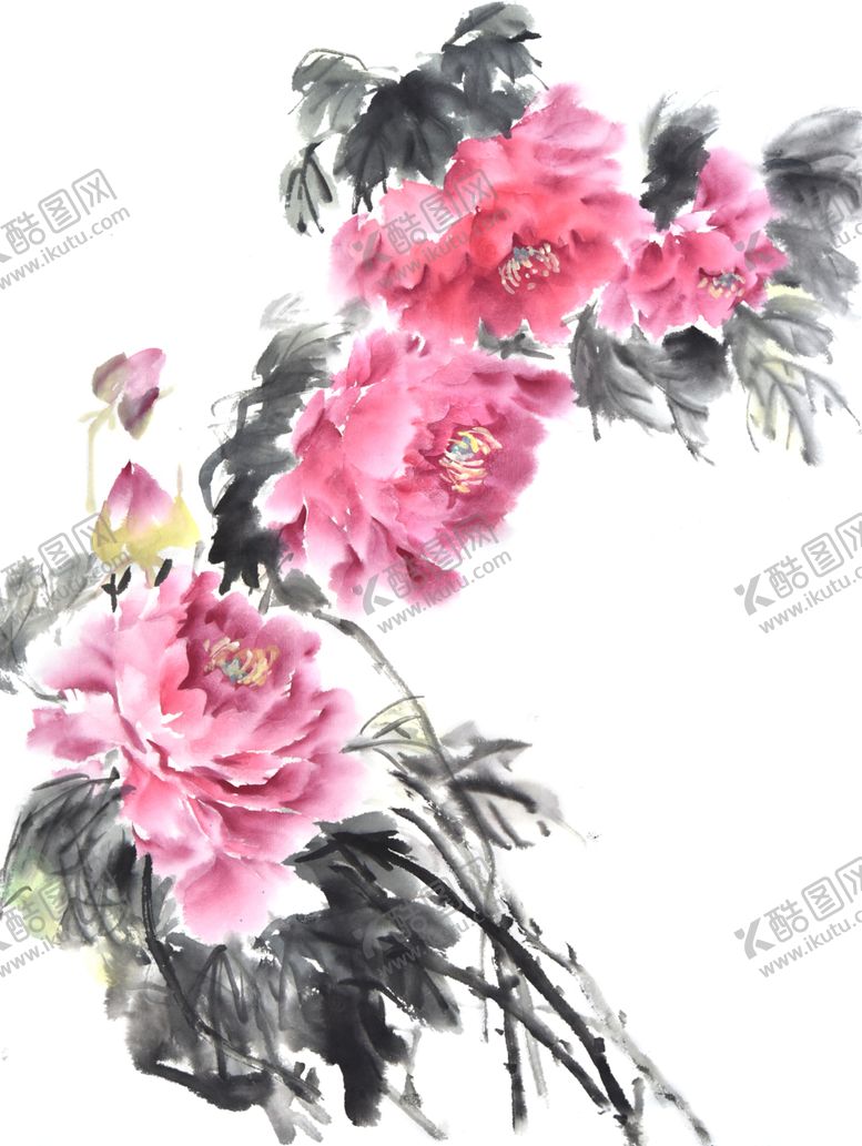 编号：51533306250447144896【酷图网】源文件下载-水彩花