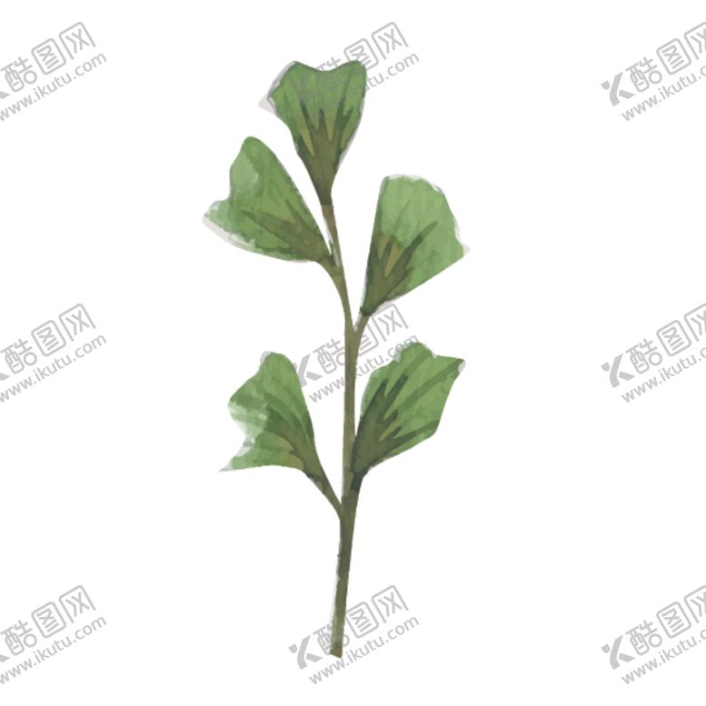 编号：78700110301242223980【酷图网】源文件下载-绿色水彩植物树叶